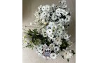 Property photo 53 - TIMED ONLINE - Floral Shop Business Liquidation Auction #1 IN ALLEN COUNTY, INDIANA