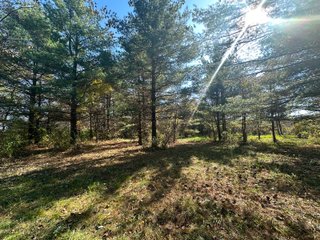 Property photo 92 - REAL ESTATE AUCTION - 22+/- ACRES OFFERED IN 4 TRACTS IN ALLEN COUNTY, INDIANA