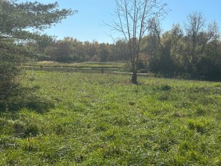 Property photo 24 - REAL ESTATE AUCTION - 22+/- ACRES OFFERED IN 4 TRACTS IN ALLEN COUNTY, INDIANA