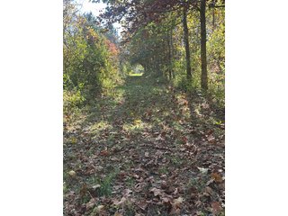 Property photo 93 - REAL ESTATE AUCTION - 22+/- ACRES OFFERED IN 4 TRACTS IN ALLEN COUNTY, INDIANA