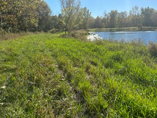 Property photo 30 - REAL ESTATE AUCTION - 22+/- ACRES OFFERED IN 4 TRACTS IN ALLEN COUNTY, INDIANA
