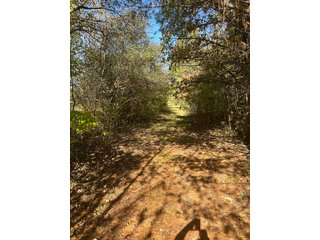 Property photo 74 - REAL ESTATE AUCTION - 22+/- ACRES OFFERED IN 4 TRACTS IN ALLEN COUNTY, INDIANA