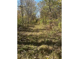Property photo 75 - REAL ESTATE AUCTION - 22+/- ACRES OFFERED IN 4 TRACTS IN ALLEN COUNTY, INDIANA