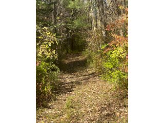 Property photo 77 - REAL ESTATE AUCTION - 22+/- ACRES OFFERED IN 4 TRACTS IN ALLEN COUNTY, INDIANA