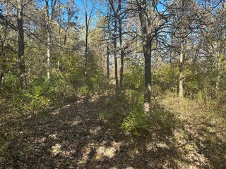 Property photo 78 - REAL ESTATE AUCTION - 22+/- ACRES OFFERED IN 4 TRACTS IN ALLEN COUNTY, INDIANA