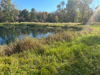 Property photo 80 - REAL ESTATE AUCTION - 22+/- ACRES OFFERED IN 4 TRACTS IN ALLEN COUNTY, INDIANA