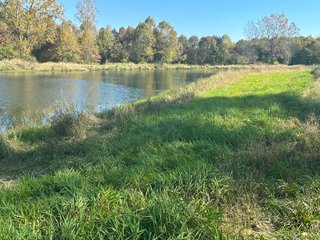 Property photo 43 - REAL ESTATE AUCTION - 22+/- ACRES OFFERED IN 4 TRACTS IN ALLEN COUNTY, INDIANA