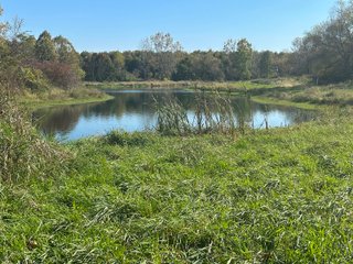 Property photo 46 - REAL ESTATE AUCTION - 22+/- ACRES OFFERED IN 4 TRACTS IN ALLEN COUNTY, INDIANA