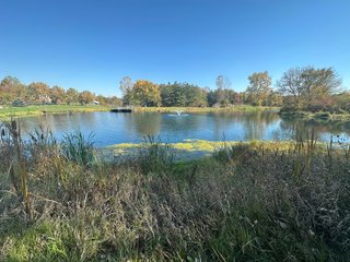 Property photo 48 - REAL ESTATE AUCTION - 22+/- ACRES OFFERED IN 4 TRACTS IN ALLEN COUNTY, INDIANA