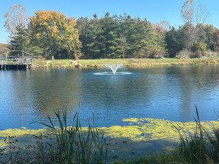 Property photo 49 - REAL ESTATE AUCTION - 22+/- ACRES OFFERED IN 4 TRACTS IN ALLEN COUNTY, INDIANA