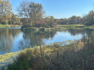 Property photo 50 - REAL ESTATE AUCTION - 22+/- ACRES OFFERED IN 4 TRACTS IN ALLEN COUNTY, INDIANA