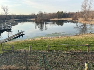 Property photo 59 - REAL ESTATE AUCTION - 22+/- ACRES OFFERED IN 4 TRACTS IN ALLEN COUNTY, INDIANA