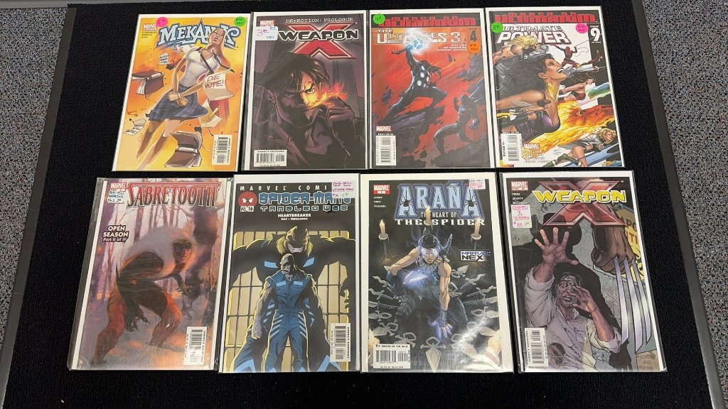 Property photo 29 - TIMED ONLINE Buchheit Comic Book Collection in ALLEN COUNTY, INDIANA