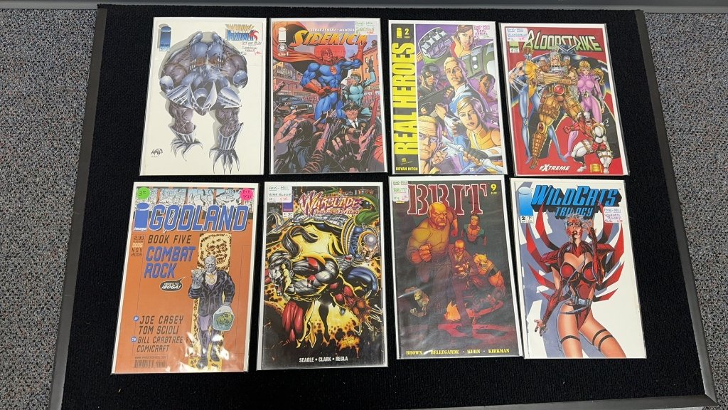 Property photo 23 - TIMED ONLINE Buchheit Comic Book Collection in ALLEN COUNTY, INDIANA