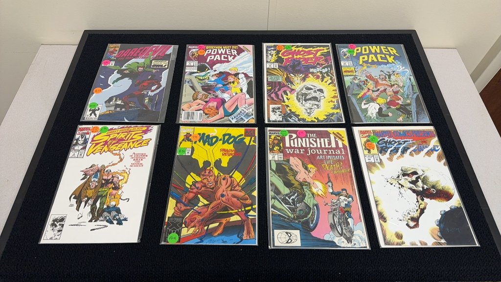 Property photo 5 - TIMED ONLINE Buchheit Comic Book Collection in ALLEN COUNTY, INDIANA