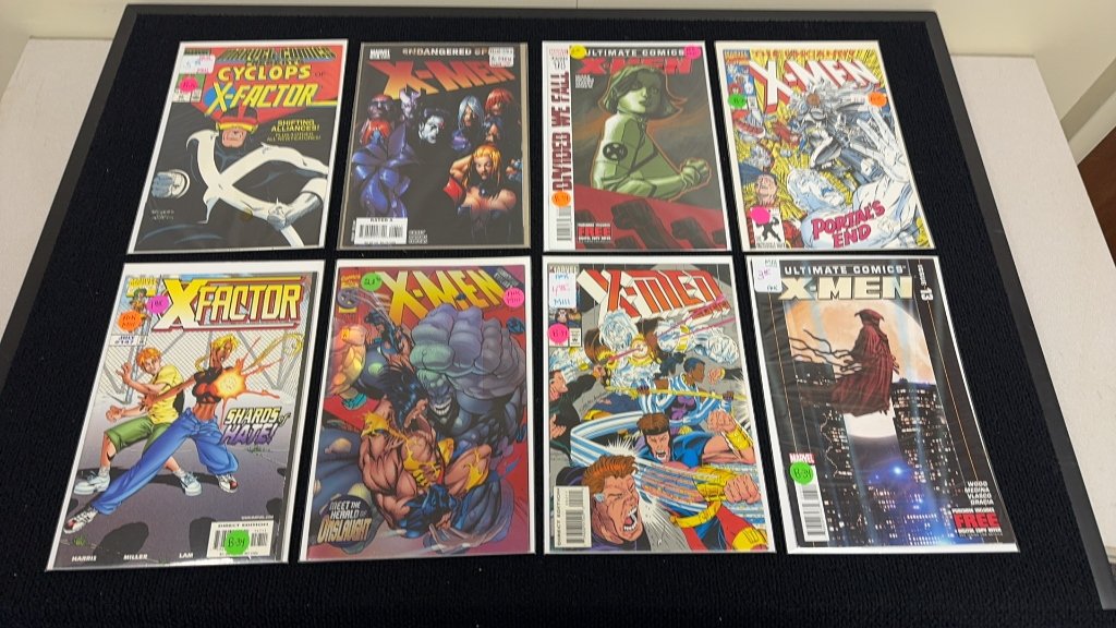 Property photo 7 - TIMED ONLINE Buchheit Comic Book Collection in ALLEN COUNTY, INDIANA