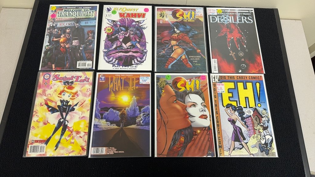 Property photo 22 - TIMED ONLINE Buchheit Comic Book Collection in ALLEN COUNTY, INDIANA
