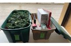Property photo 255 - TIMED ONLINE ONLY PERSONAL PROPERTY AUCTION IN STEUBEN COUNTY, INDIANA