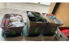 Property photo 256 - TIMED ONLINE ONLY PERSONAL PROPERTY AUCTION IN STEUBEN COUNTY, INDIANA