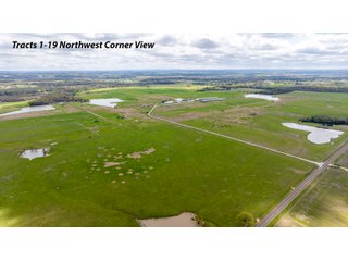 Property photo 1 - RARE LAND AUCTION - 383+/- CONTIGUOUS ACRES OFFERED IN 19 TRACTS IN VAN ZANDT COUNTY, TEXAS
