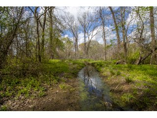 Property photo 79 - RARE LAND AUCTION - 383+/- CONTIGUOUS ACRES OFFERED IN 19 TRACTS IN VAN ZANDT COUNTY, TEXAS