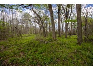 Property photo 81 - RARE LAND AUCTION - 383+/- CONTIGUOUS ACRES OFFERED IN 19 TRACTS IN VAN ZANDT COUNTY, TEXAS