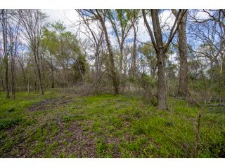 Property photo 82 - RARE LAND AUCTION - 383+/- CONTIGUOUS ACRES OFFERED IN 19 TRACTS IN VAN ZANDT COUNTY, TEXAS