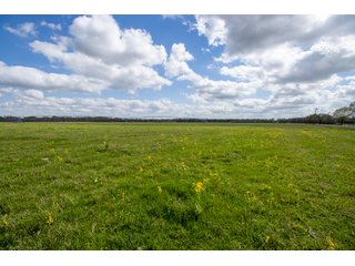 Property photo 87 - RARE LAND AUCTION - 383+/- CONTIGUOUS ACRES OFFERED IN 19 TRACTS IN VAN ZANDT COUNTY, TEXAS