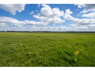 Property photo 88 - RARE LAND AUCTION - 383+/- CONTIGUOUS ACRES OFFERED IN 19 TRACTS IN VAN ZANDT COUNTY, TEXAS