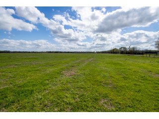 Property photo 91 - RARE LAND AUCTION - 383+/- CONTIGUOUS ACRES OFFERED IN 19 TRACTS IN VAN ZANDT COUNTY, TEXAS