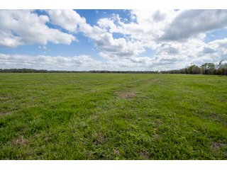 Property photo 93 - RARE LAND AUCTION - 383+/- CONTIGUOUS ACRES OFFERED IN 19 TRACTS IN VAN ZANDT COUNTY, TEXAS