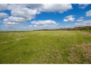 Property photo 96 - RARE LAND AUCTION - 383+/- CONTIGUOUS ACRES OFFERED IN 19 TRACTS IN VAN ZANDT COUNTY, TEXAS