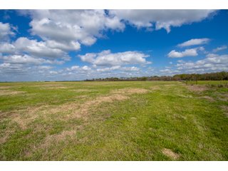 Property photo 97 - RARE LAND AUCTION - 383+/- CONTIGUOUS ACRES OFFERED IN 19 TRACTS IN VAN ZANDT COUNTY, TEXAS