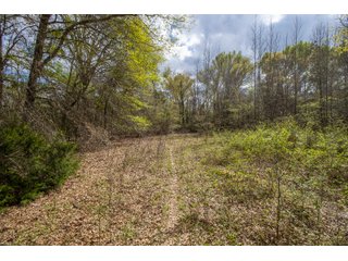 Property photo 101 - RARE LAND AUCTION - 383+/- CONTIGUOUS ACRES OFFERED IN 19 TRACTS IN VAN ZANDT COUNTY, TEXAS
