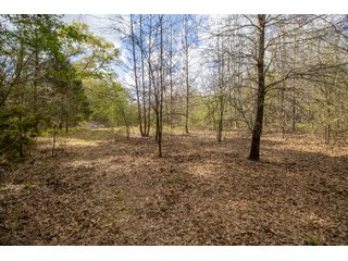 Property photo 102 - RARE LAND AUCTION - 383+/- CONTIGUOUS ACRES OFFERED IN 19 TRACTS IN VAN ZANDT COUNTY, TEXAS