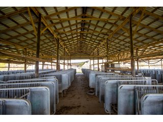Property photo 26 - RARE LAND AUCTION - 383+/- CONTIGUOUS ACRES OFFERED IN 19 TRACTS IN VAN ZANDT COUNTY, TEXAS