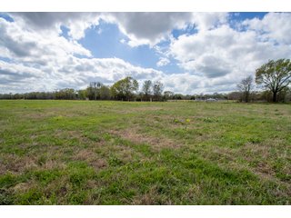 Property photo 104 - RARE LAND AUCTION - 383+/- CONTIGUOUS ACRES OFFERED IN 19 TRACTS IN VAN ZANDT COUNTY, TEXAS