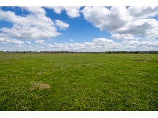 Property photo 106 - RARE LAND AUCTION - 383+/- CONTIGUOUS ACRES OFFERED IN 19 TRACTS IN VAN ZANDT COUNTY, TEXAS