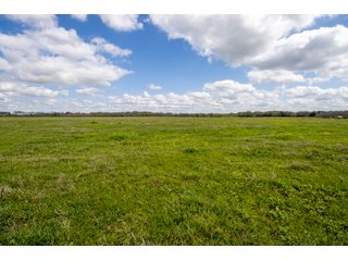 Property photo 111 - RARE LAND AUCTION - 383+/- CONTIGUOUS ACRES OFFERED IN 19 TRACTS IN VAN ZANDT COUNTY, TEXAS