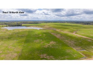 Property photo 17 - RARE LAND AUCTION - 383+/- CONTIGUOUS ACRES OFFERED IN 19 TRACTS IN VAN ZANDT COUNTY, TEXAS