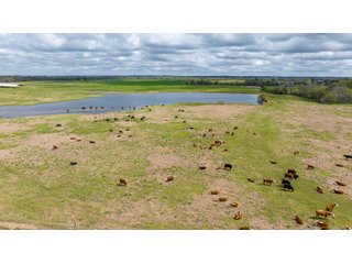 Property photo 120 - RARE LAND AUCTION - 383+/- CONTIGUOUS ACRES OFFERED IN 19 TRACTS IN VAN ZANDT COUNTY, TEXAS
