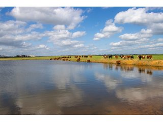 Property photo 123 - RARE LAND AUCTION - 383+/- CONTIGUOUS ACRES OFFERED IN 19 TRACTS IN VAN ZANDT COUNTY, TEXAS