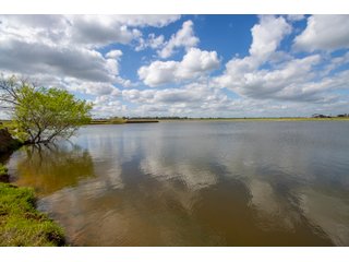 Property photo 124 - RARE LAND AUCTION - 383+/- CONTIGUOUS ACRES OFFERED IN 19 TRACTS IN VAN ZANDT COUNTY, TEXAS