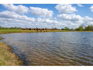 Property photo 125 - RARE LAND AUCTION - 383+/- CONTIGUOUS ACRES OFFERED IN 19 TRACTS IN VAN ZANDT COUNTY, TEXAS