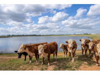 Property photo 129 - RARE LAND AUCTION - 383+/- CONTIGUOUS ACRES OFFERED IN 19 TRACTS IN VAN ZANDT COUNTY, TEXAS