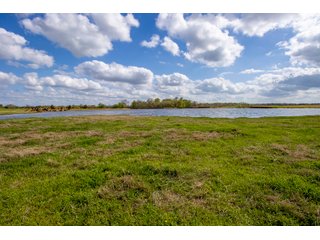 Property photo 130 - RARE LAND AUCTION - 383+/- CONTIGUOUS ACRES OFFERED IN 19 TRACTS IN VAN ZANDT COUNTY, TEXAS