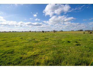 Property photo 32 - RARE LAND AUCTION - 383+/- CONTIGUOUS ACRES OFFERED IN 19 TRACTS IN VAN ZANDT COUNTY, TEXAS