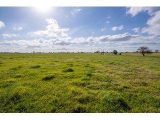 Property photo 33 - RARE LAND AUCTION - 383+/- CONTIGUOUS ACRES OFFERED IN 19 TRACTS IN VAN ZANDT COUNTY, TEXAS