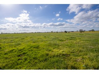 Property photo 34 - RARE LAND AUCTION - 383+/- CONTIGUOUS ACRES OFFERED IN 19 TRACTS IN VAN ZANDT COUNTY, TEXAS