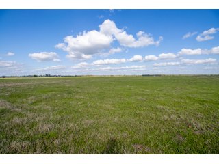 Property photo 41 - RARE LAND AUCTION - 383+/- CONTIGUOUS ACRES OFFERED IN 19 TRACTS IN VAN ZANDT COUNTY, TEXAS